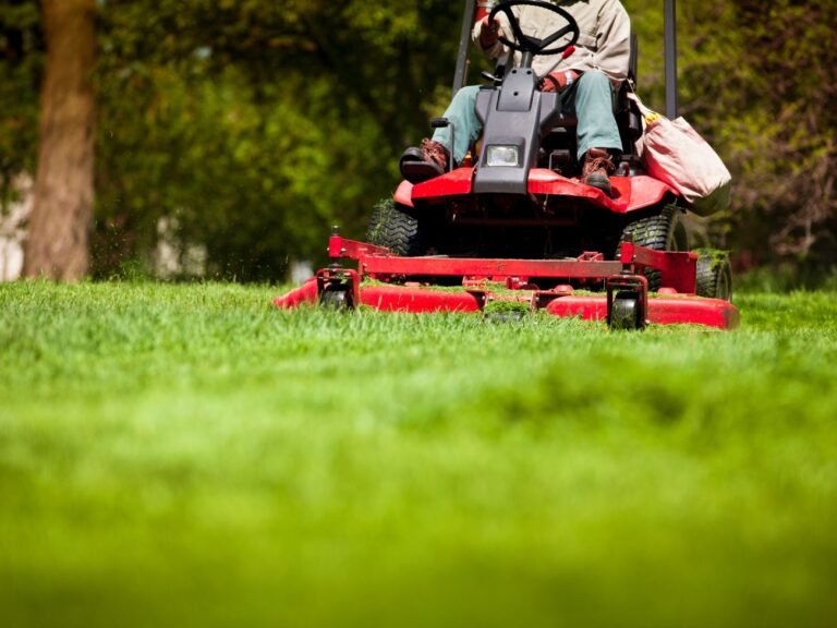 Lawn Mowing In Woodstock GA