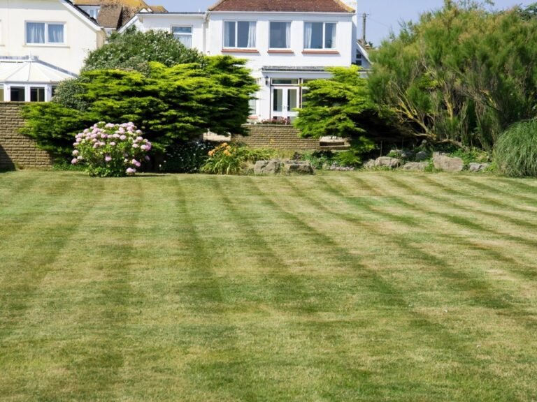 Lawn Mowing Services