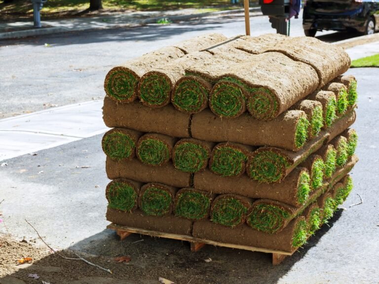 Sod Installation