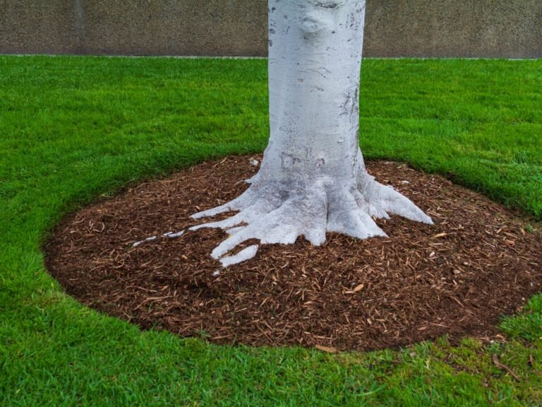 Mulch Installation